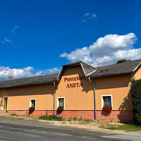 Penzion Aneta Svijany Екстер'єр фото